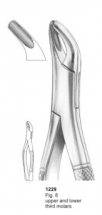  Fig. 8 upper and lower third molars 